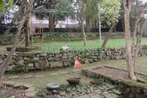 Casa, 8 dormitórios, no bairro São Pelegrino em Caxias do Sul para Comprar