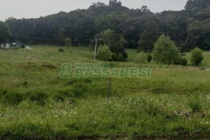 Terreno com 5514m², no bairro Linha 40 em Caxias do Sul para Comprar