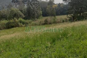 Terreno com 1939m², no bairro Linha 40 em Caxias do Sul para Comprar