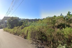 Terreno com 1812m², no bairro Desvio Rizzo em Caxias do Sul para Comprar