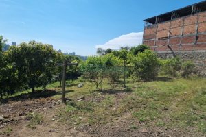Terreno com 5940m², no bairro Salgado Filho em Caxias do Sul para Comprar