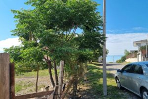 Terreno com 5940m², no bairro Salgado Filho em Caxias do Sul para Comprar