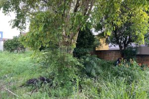 Terreno com 406m², no bairro Nossa Senhora das Graças em Caxias do Sul para Comprar