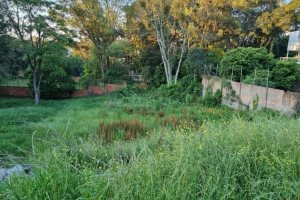 Terreno com 864m², no bairro Cinqüentenário em Caxias do Sul para Comprar