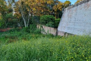 Terreno com 864m², no bairro Cinqüentenário em Caxias do Sul para Comprar