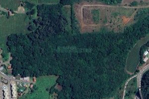 Terreno com 79131m², no bairro Nossa Senhora das Graças em Caxias do Sul para Comprar
