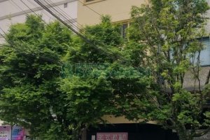 Predio com 409m², no bairro Centro em Caxias do Sul para Comprar