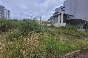 Terreno com 384m², no bairro Vila Verde em Caxias do Sul para Alugar
