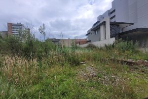 Terreno com 384m², no bairro Vila Verde em Caxias do Sul para Alugar