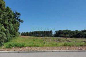 Terreno, no bairro Nossa Senhora das Graças em Caxias do Sul para Comprar