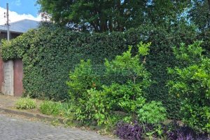 Casa, 2 dormitórios, no bairro Jardim América em Caxias do Sul para Comprar