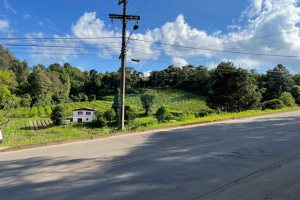 Terreno com 19262m², no bairro Diamantino em Caxias do Sul para Comprar