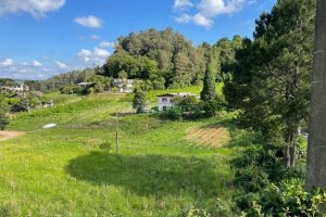 Terreno com 19262m², no bairro Diamantino em Caxias do Sul para Comprar