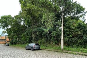 Terreno com 1500m², no bairro Serrano em Caxias do Sul para Comprar