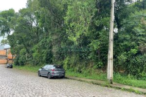 Terreno com 1500m², no bairro Serrano em Caxias do Sul para Comprar
