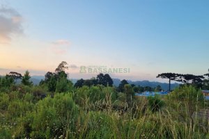 Terreno com 12250m², no bairro São Giácomo em Caxias do Sul para Comprar