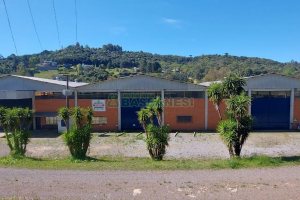 Pavilhão com 2100m², no bairro Linha 40 em Caxias do Sul para Alugar