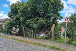 Terreno com 387m², no bairro Sanvitto em Caxias do Sul para Comprar