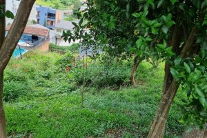 Terreno com 387m², no bairro Sanvitto em Caxias do Sul para Comprar