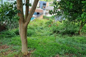 Terreno com 387m², no bairro Sanvitto em Caxias do Sul para Comprar