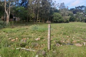 Terreno com 4700m², no bairro De Zorzi em Caxias do Sul para Comprar