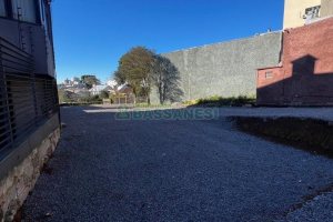 Terreno com 700m², no bairro São Pelegrino em Caxias do Sul para Alugar