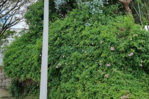 Terreno com 336m², no bairro Cinqüentenário em Caxias do Sul para Comprar