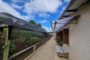 Chácara com 250m², 3 dormitórios, no bairro Criúva em Caxias do Sul para Comprar