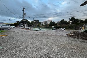 Casa com 650m², no bairro São Ciro em Caxias do Sul para Alugar ou Comprar