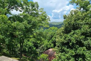 Chácara com 1672m², no bairro Linha 40 em Caxias do Sul para Comprar