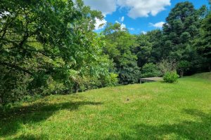 Chácara com 1672m², no bairro Linha 40 em Caxias do Sul para Comprar