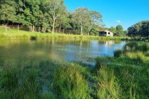 Chácara com 38600m², no bairro Fazenda Souza em Caxias do Sul para Comprar