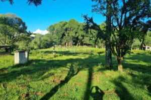 Chácara com 38600m², no bairro Fazenda Souza em Caxias do Sul para Comprar