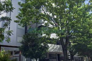 Apartamento com 82m², 2 dormitórios, 2 vagas, no bairro Medianeira em Caxias do Sul para Comprar