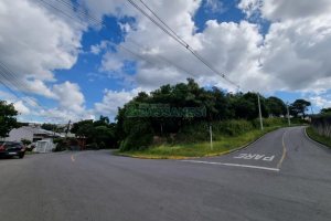Terreno com 3758m², no bairro Salgado Filho em Caxias do Sul para Comprar