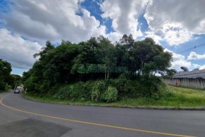 Terreno com 3758m², no bairro Salgado Filho em Caxias do Sul para Comprar