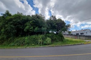 Terreno com 3758m², no bairro Salgado Filho em Caxias do Sul para Comprar