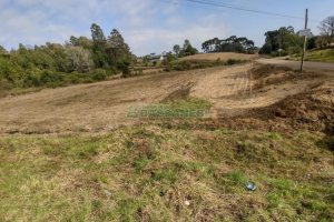Terreno com 15800m², no bairro Forqueta em Caxias do Sul para Comprar
