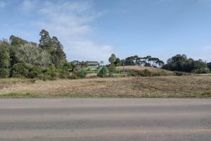 Terreno com 15800m², no bairro Forqueta em Caxias do Sul para Comprar