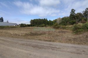Terreno com 15800m², no bairro Forqueta em Caxias do Sul para Comprar
