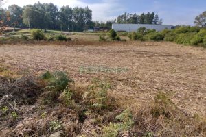 Terreno com 10800m², no bairro Forqueta em Caxias do Sul para Comprar