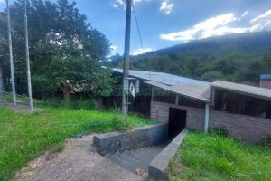 Pavilhão com 600m², no bairro Vila Cristina em Caxias do Sul para Alugar