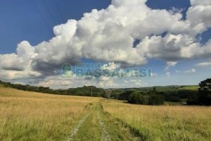 Terreno com 550000m², no bairro Vila Seca em Caxias do Sul para Comprar