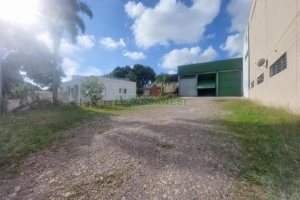 Pavilhão com 228m², no bairro Jardim Eldorado em Caxias do Sul para Alugar