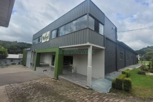 Pavilhão com 1000m², no bairro Maestra em Caxias do Sul para Alugar