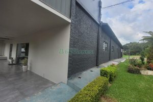 Pavilhão com 1000m², no bairro Maestra em Caxias do Sul para Alugar