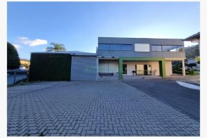 Pavilhão com 1000m², no bairro Maestra em Caxias do Sul para Alugar