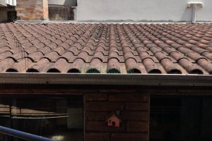 Casa com 208m², 2 dormitórios, 1 vaga, no bairro São Leopoldo em Caxias do Sul para Comprar