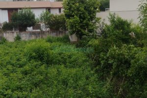 Terreno com 342m², no bairro Cinqüentenário em Caxias do Sul para Comprar