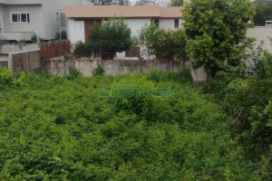Terreno com 342m², no bairro Cinqüentenário em Caxias do Sul para Comprar